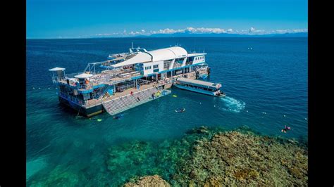 Reef Magic Pontoon: An All-Inclusive Gateway to the Great Barrier Reef